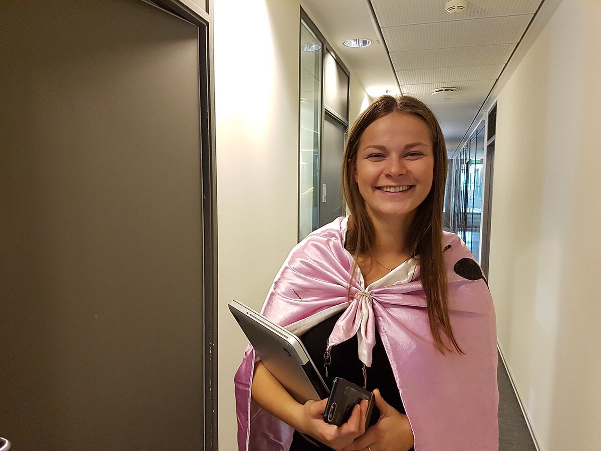 PhDr. Zuzana Mikulová, Psychologička práce a organizácie